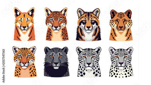 Tableau sur toile Exotic Feline Collection: A vibrant illustration showcasing a diverse array of stylized big cat portraits, featuring unique markings and expressions, evoking the wild beauty of jungle predators