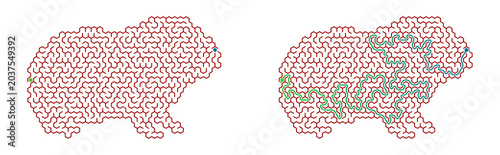 Canvastavla Maze design shaped like a guinea pig with completed path