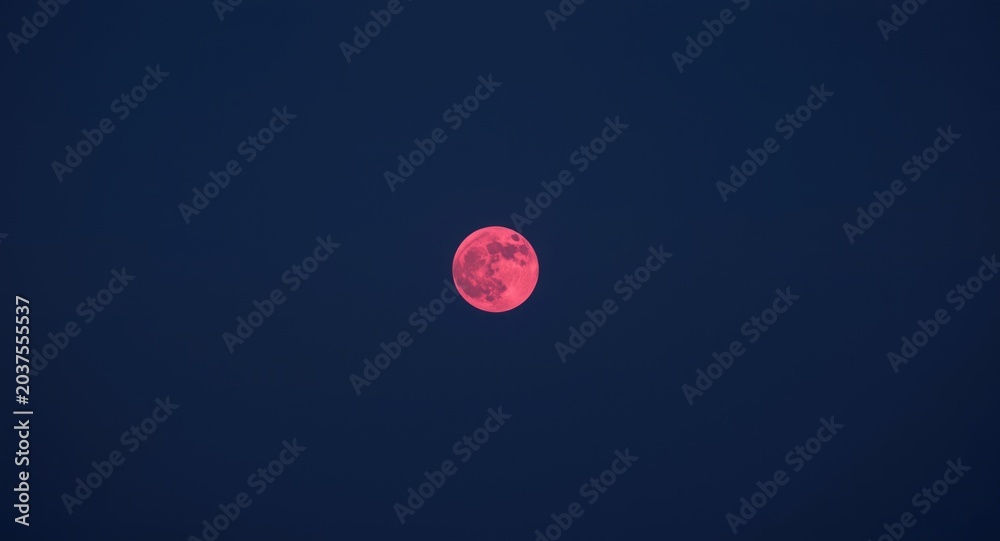 Obraz premium Bright large pink moon shining over night sky on clear Friday evening