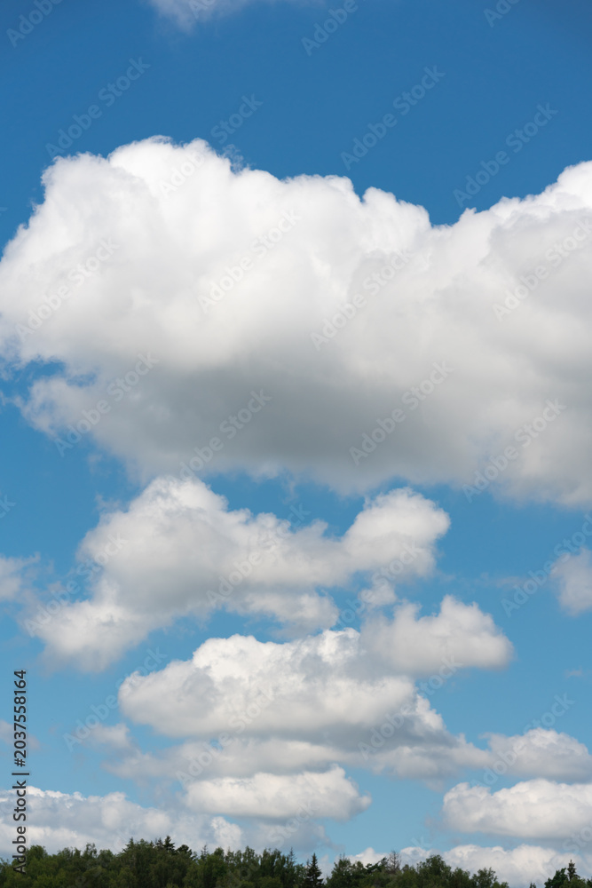 Obraz premium Vast blue sky dominates the frame. Puffy white clouds drift lazily overhead. Gentle forest line frames the bottom edge. Sunlight illuminates cloud edges with soft glow