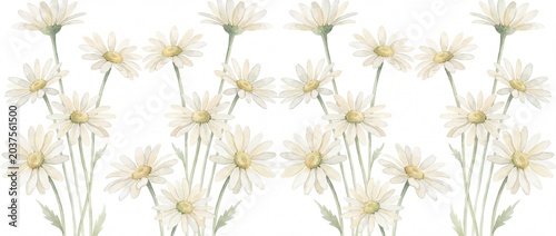 Delicate white daisy flowers arranged symmetrically with lush green stems and leaves against a clean white background