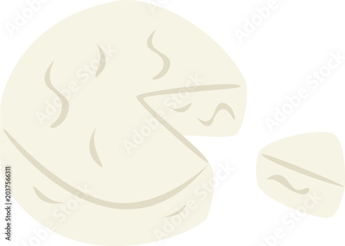 Camembert cheese vector illustration isolated