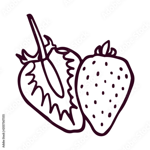Fresh strawberry fruit hand drawn doodle