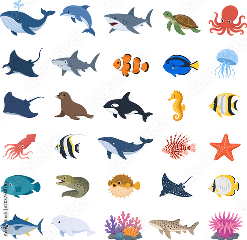 Photography Collection of Diverse Marine Life and Ocean Creatures in a Whimsical Cartoon Sty