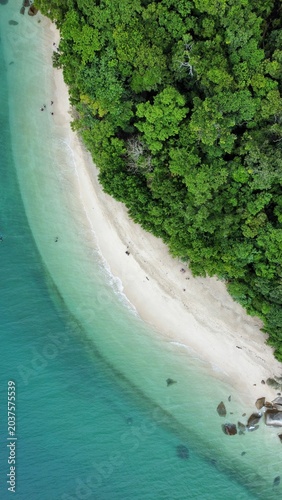 tropical beach with palm trees in cairns