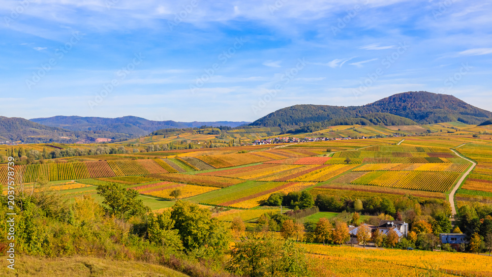 Obraz premium Autumn landscape with colorful fields in a rural area during clear weather