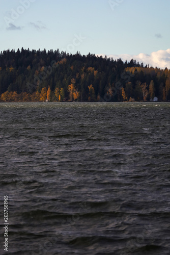 Valokuva An autumn landscape with a choppy lake and a wooded shore