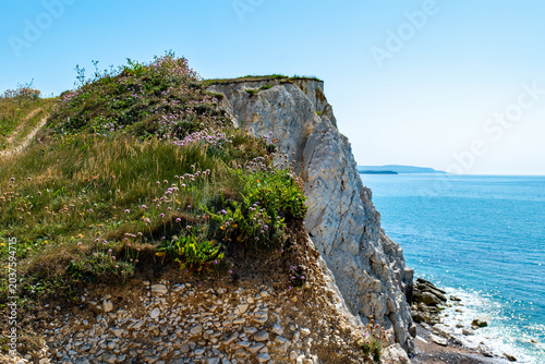 White Cliffs Isle of Wight UK