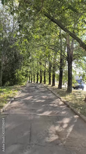 Empty park avenue in Petrozavodosk city in Russland