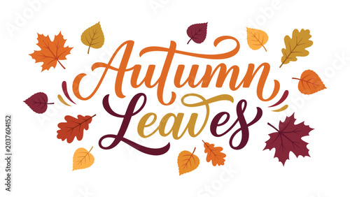 Autumn Leaves Typography: A vibrant typographic illustration celebrating autumn with the words Autumn Leaves in elegant script.