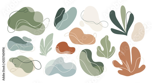 Abstract Organic Shapes, Botanical Elements, Minimalist Design