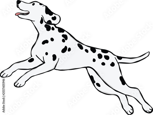 Dalmatian dog illustration in a jumping pose. ideal for stickers or graphic elements