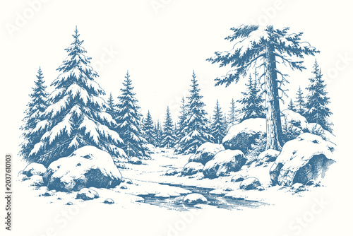 Vintage winter forest landscape vector illustration with engraved pine trees, snowy pathway scenery and natural wilderness composition