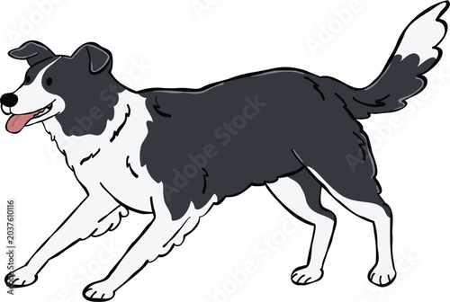 Adorable Border Collie dog illustration standing alert and attentive. ideal for stickers, elements and creative design projects