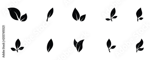 Foto Leaf Shapes vector illustration on white background