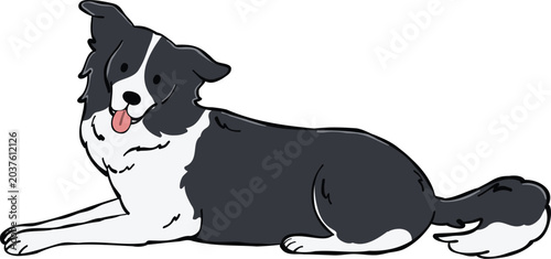 Cute Border Collie dog illustration lying down pose. ideal for stickers, elements and creative design projects