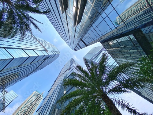 Low-angle worm's-eye view of modern glass skyscrapers framing a clear blue sky, with tropical green palm trees in the foreground, Jakarta, Indonesia.

