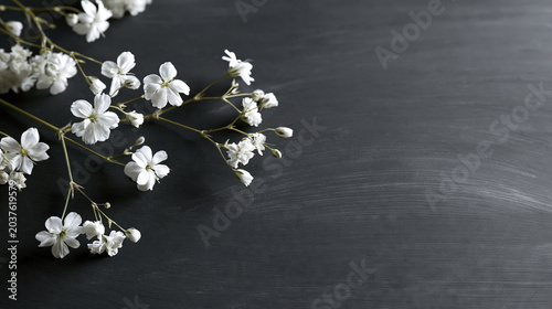 White flowers on dark background