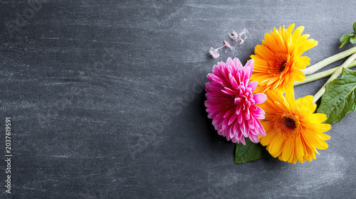 Bright flowers on a dark slate background