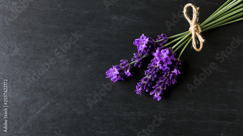 Purple Lavender Flowers on Black Chalkboard Background
