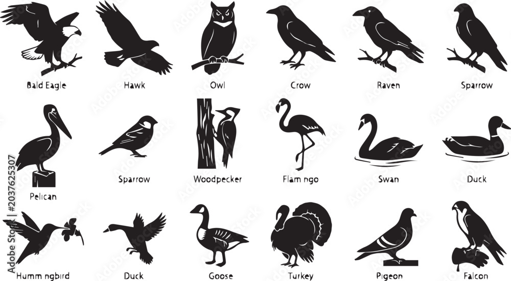 Obraz premium Collection of various bird silhouettes in a clean graphic illustration style