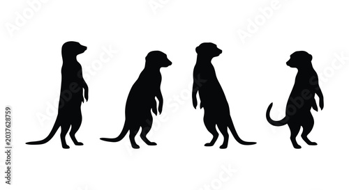 Foto Four meerkat silhouettes in varying poses against a white background a graphic r