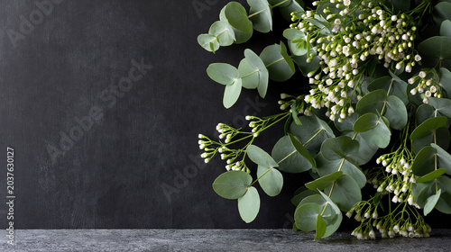 Fresh Green Eucalyptus Leaves with Small White Flowers on Black Surface