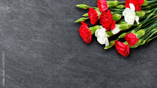 Mixed Red and White Carnations on Textured Surface
