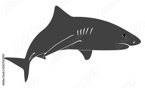 Swimming tiger shark silhouette