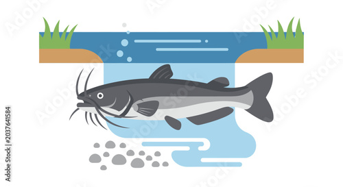 Foto Catfish swimming in river, flat illustration with underwater elements and grassy