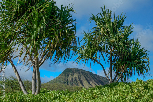 Seascape of the windward coast of Oahu, Hawaii