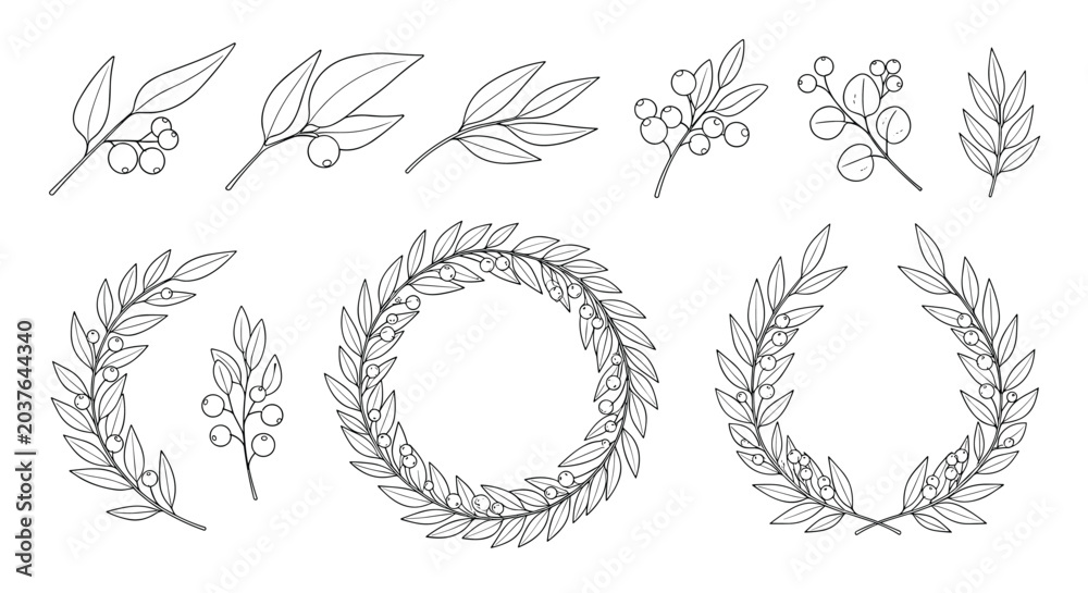 Fototapeta premium Hand drawn sketches of laurel wreaths and botanical branches with berries for classical and natural design elements on white.