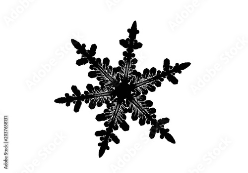 Detailed black snowflake crystal structure.