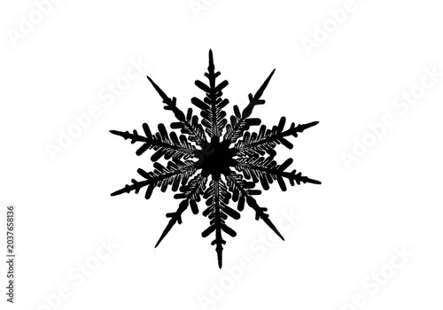 Detailed Black Snowflake Crystal Structure 1.
