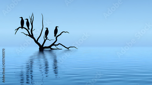 Silhouette of Birds on a Dead Tree in Water