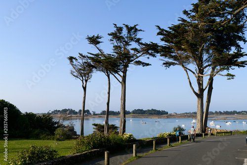 Magnifique paysage de bord de mer à Port-Blanc Penvénan en Bretagne