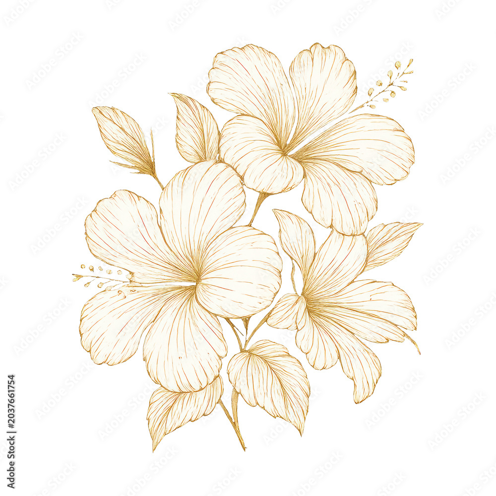 Obraz premium PNG Elegant floral gold illustration
