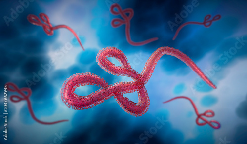 Bild auf Leinwand Medical 3d illustration of group of ebola virus, Microscopic 3D illustration of