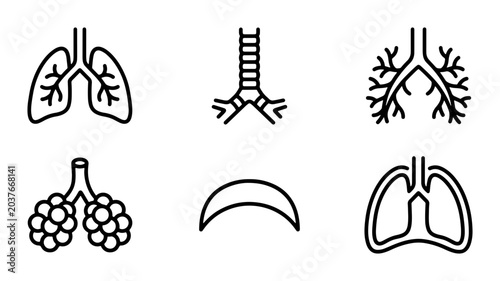 Photos Respiratory System Icons, Lung Anatomy Vector Graphics, Bronchus And Alveoli Med