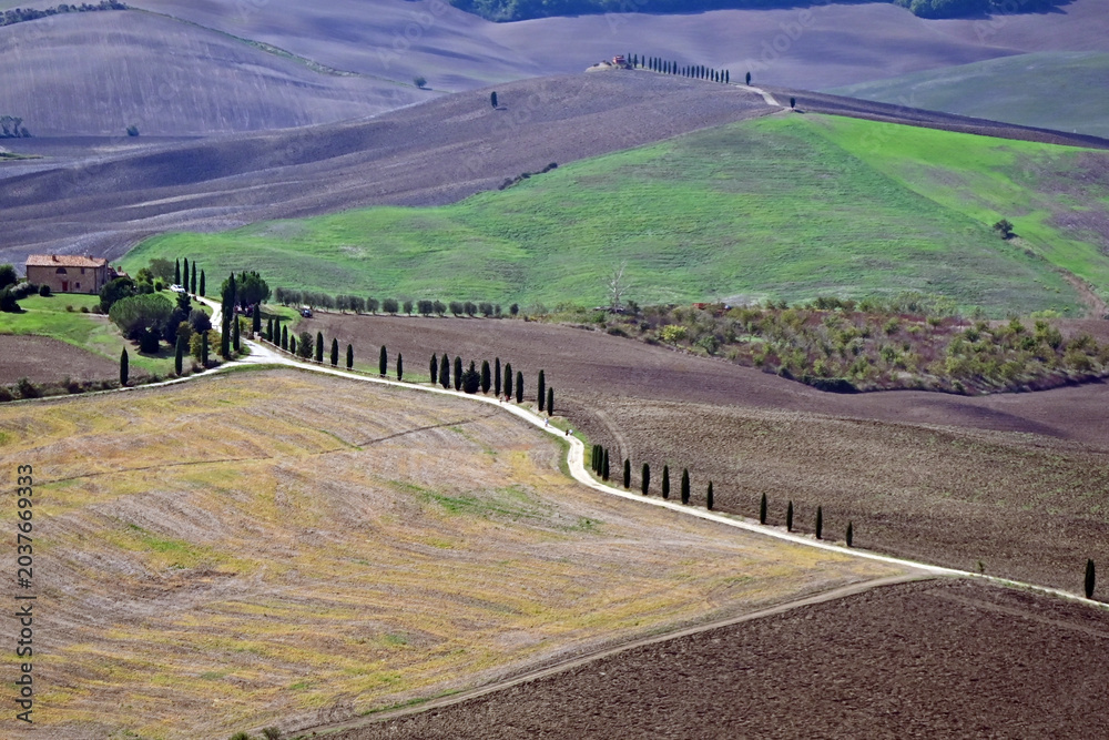 Obraz premium Pienza, le colline della Val d'Orcia dalla loggia di Palazzo Piccolomini, Val d'Orcia, Toscana