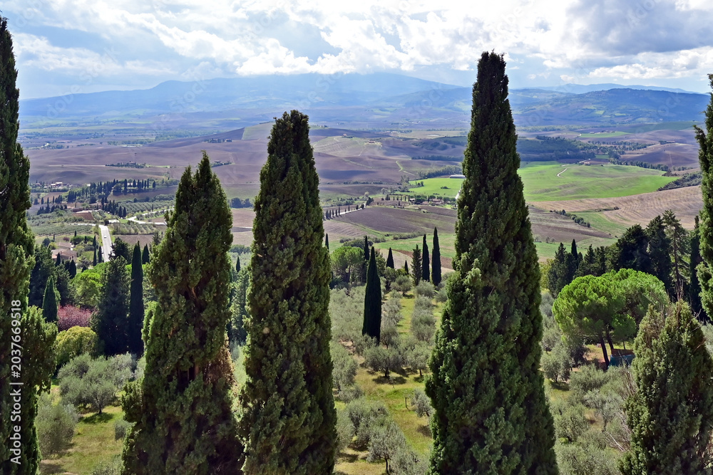 Obraz premium Pienza, le colline della Val d'Orcia dalla loggia di Palazzo Piccolomini, Val d'Orcia, Toscana