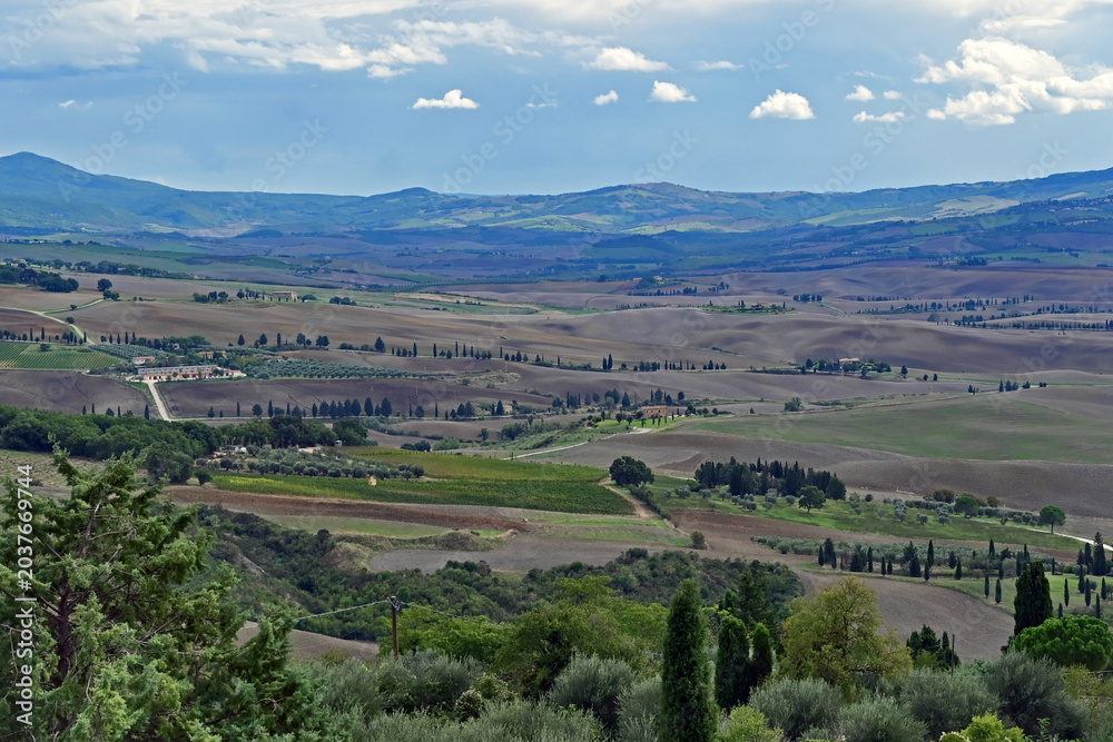 Naklejka premium Pienza, le colline della Val d'Orcia dalla loggia di Palazzo Piccolomini, Val d'Orcia, Toscana