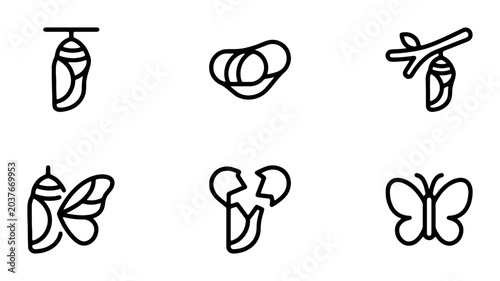 Tableau sur toile Butterfly Metamorphosis Icons: Chrysalis, Cocoon, Emerging Insect, Transformatio