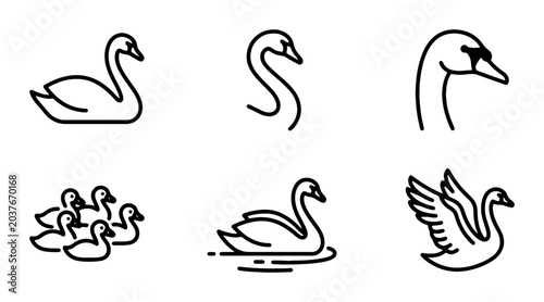 Foto Elegant Swan Icons Set, Graceful Bird Vector Graphics, Aquatic Wildlife Symbol C