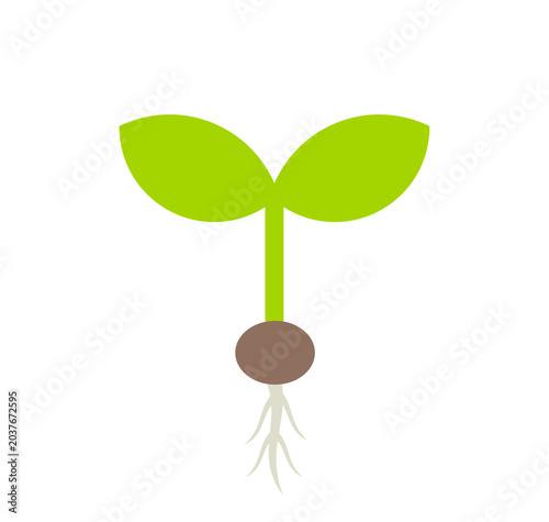 Green plant seedling with seed and roots icon. Vector illustration.
