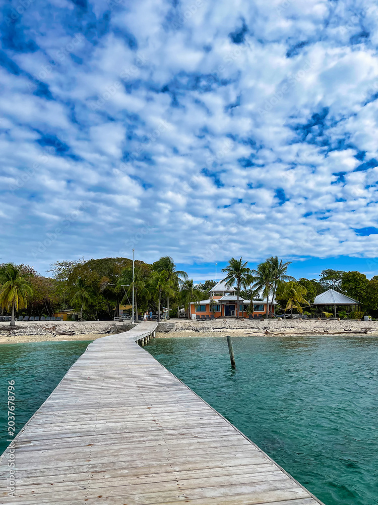 Fototapeta premium Wooden pier leading to tropical beachfront villas with palm trees and turquoise Caribbean water under dramatic cloudy sky in Utila, Honduras.
