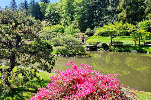 Seattle Japanese Garden in Washington Park Arboretum, WA, USA
