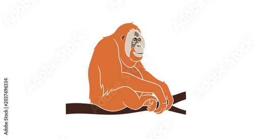 Bild auf Leinwand Orangutan Sitting on a Branch Alone.