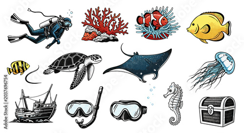 Photography Set of hand drawn underwater sea life illustrations featuring scuba diver marine