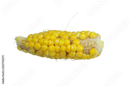 Photos Partially shucked corn cob on png background with exposed golden yellow kernels